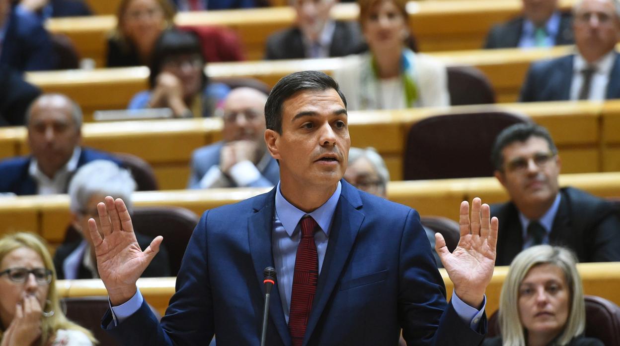 Pedro Sánchez, presidente del Gobierno, en el Senado