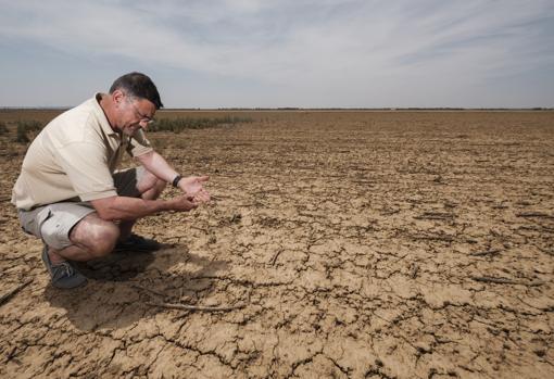 Un agricultor, en uno de los campos afectados por la sequía