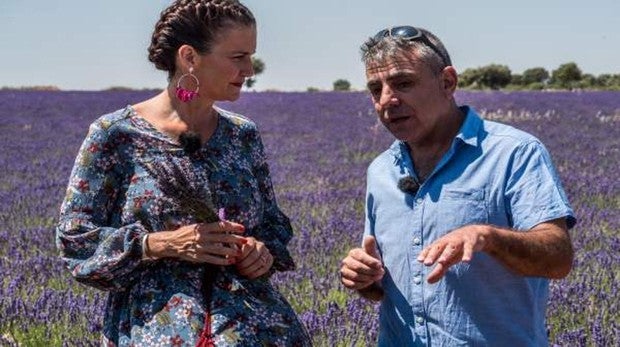 La lavanda de Brihuega protagoniza este domingo la cocina de «MasterChef Celebrity»