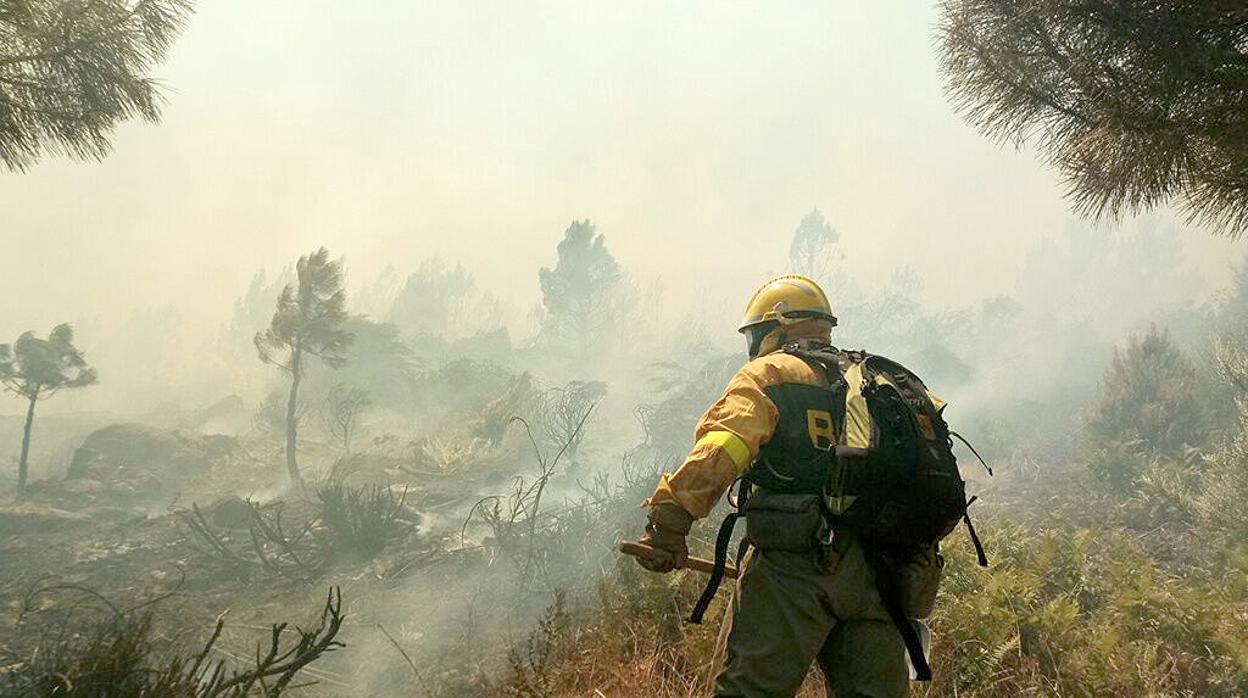 Incendio forestal en Casavieja (Ávila) originado el pasado julio por el vuelco de una retroexcavadora, en una imagen de archivo