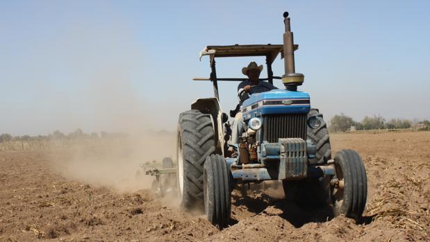 Una campaña llegará a 208 concellos para reducir la elevada cifra de muertes por tractor