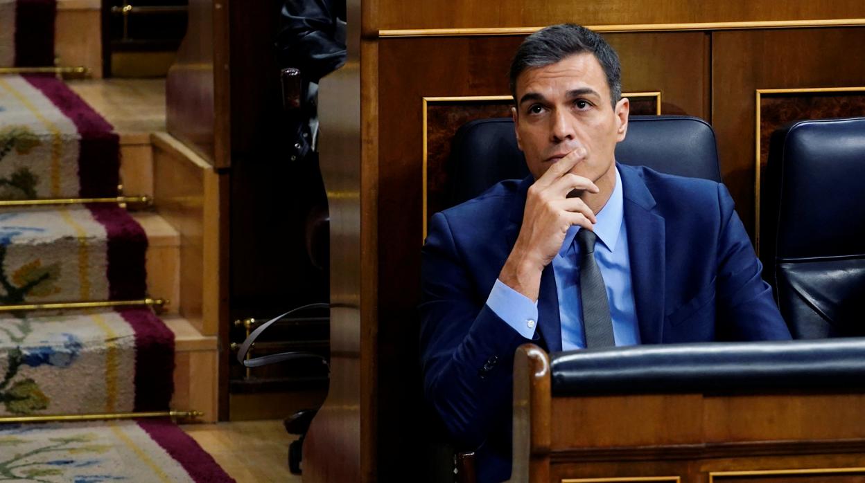 Pedro Sánchez, presidente del Gobierno