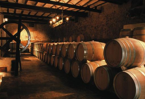 Imagen del interior de las bodegas Chozas Carrascal