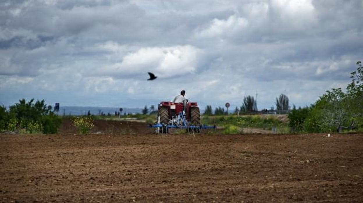 Un agricultor castellano-manchego trabaja con el tractor en su tierra