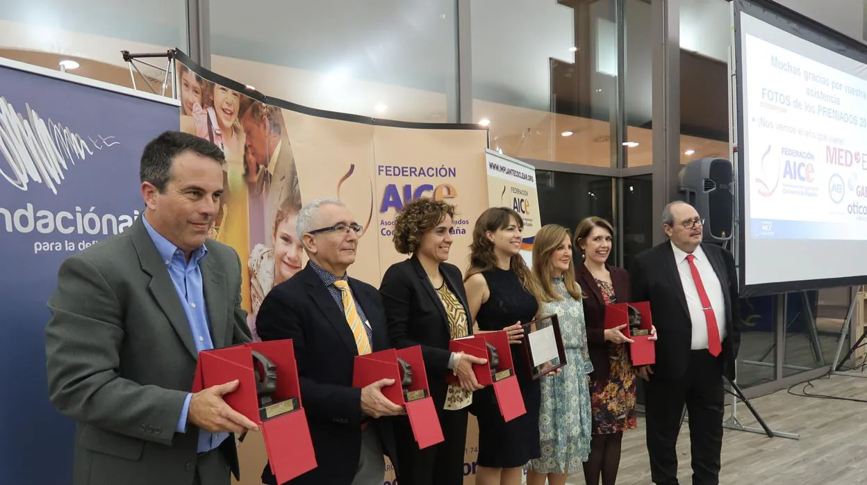 Los premiados Fernández, Vallejo, Montserrat, Templado, Flores, Amigo y el presidente de AICE, Joan Zamora