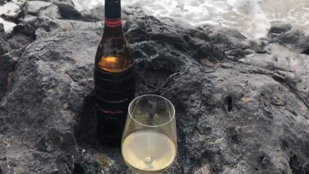 El primer vino vegano de Canarias es de Lanzarote
