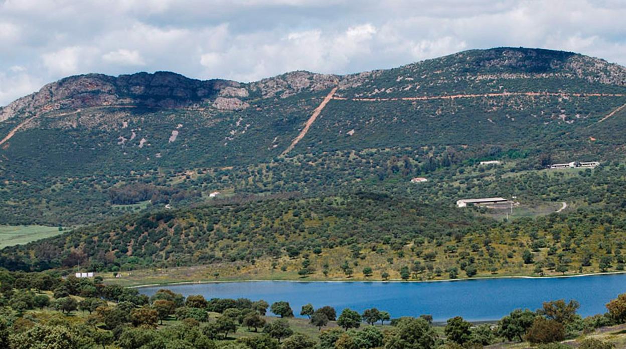 Dehesa de Castilseras en Almadén (Ciudad Real)