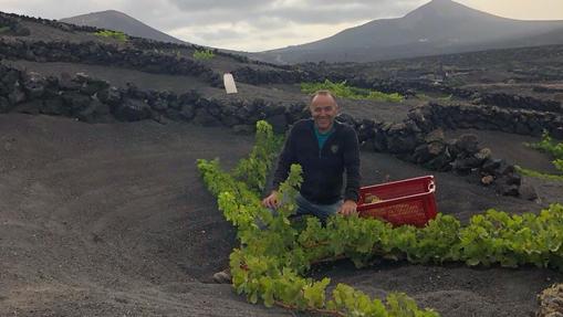 Siete bodegas de Canarias en manos de jóvenes