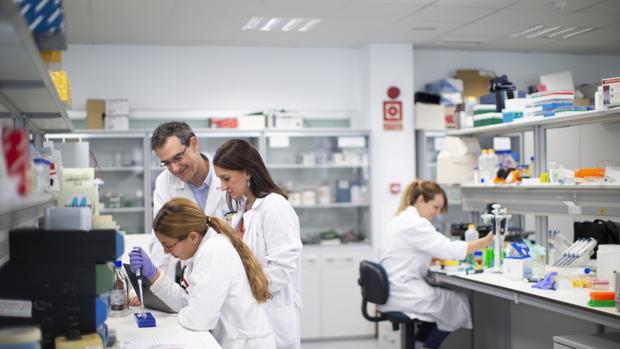 Fundación Mutua Madrileña ha financiado 850 proyectos de investigación en hospitales de Madrid