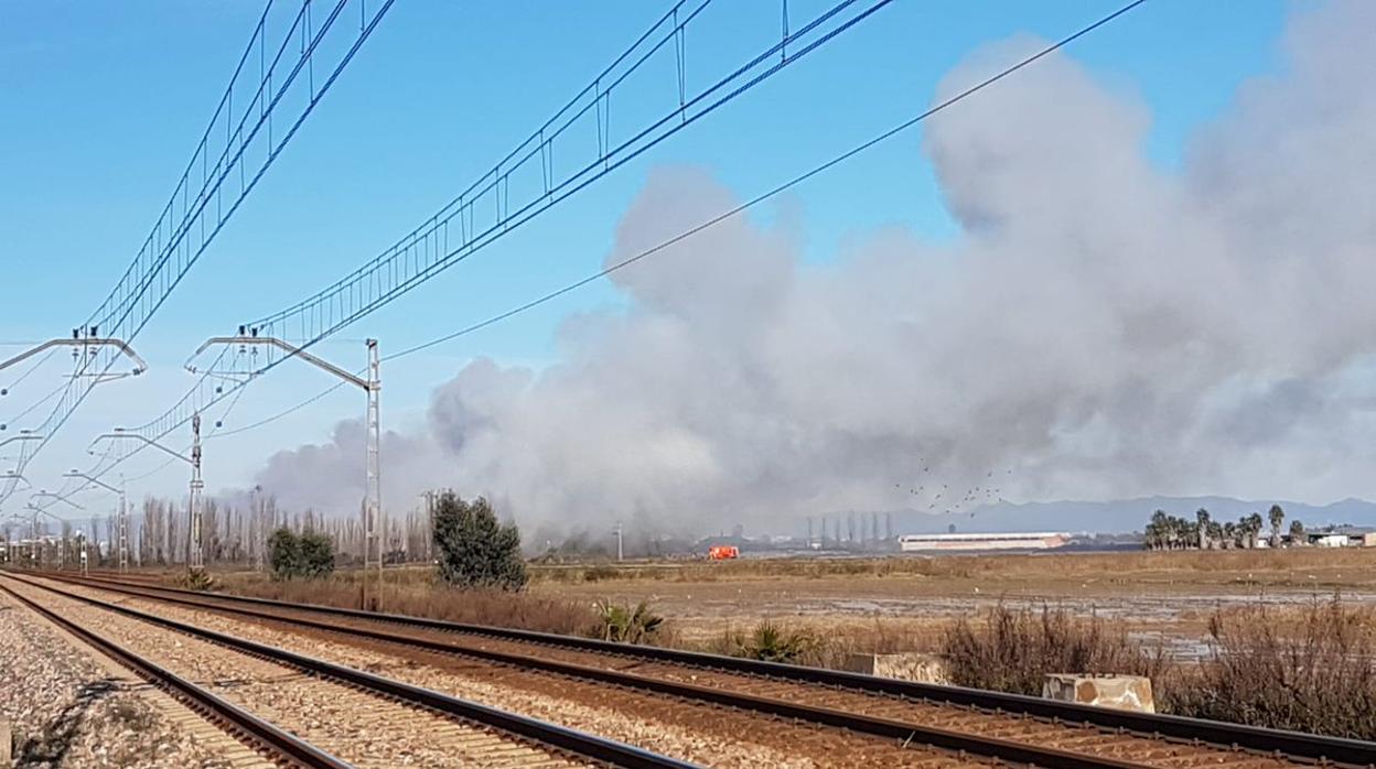 Imagen de la columna de humo generada por el incendio