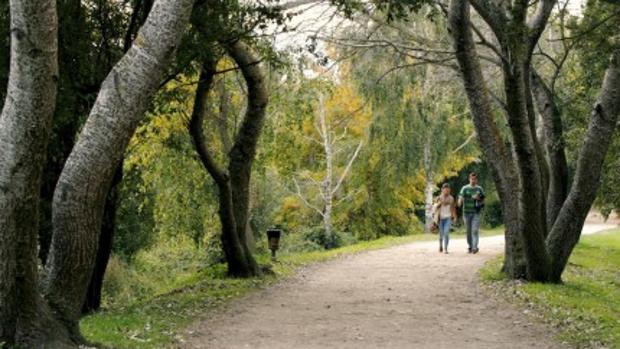 Hallan tapado con plásticos junto al río el cadáver de un octogenario desaparecido en Vigo