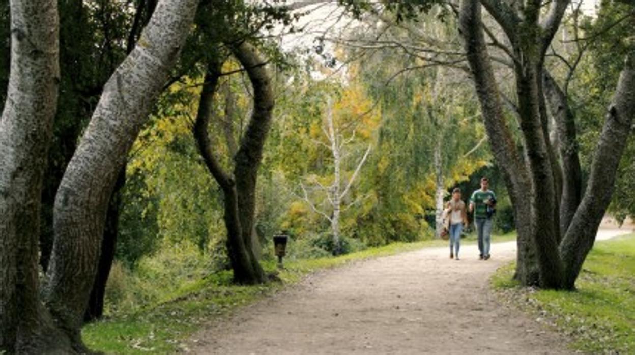 Senda peatonal en el entorno del Lagares