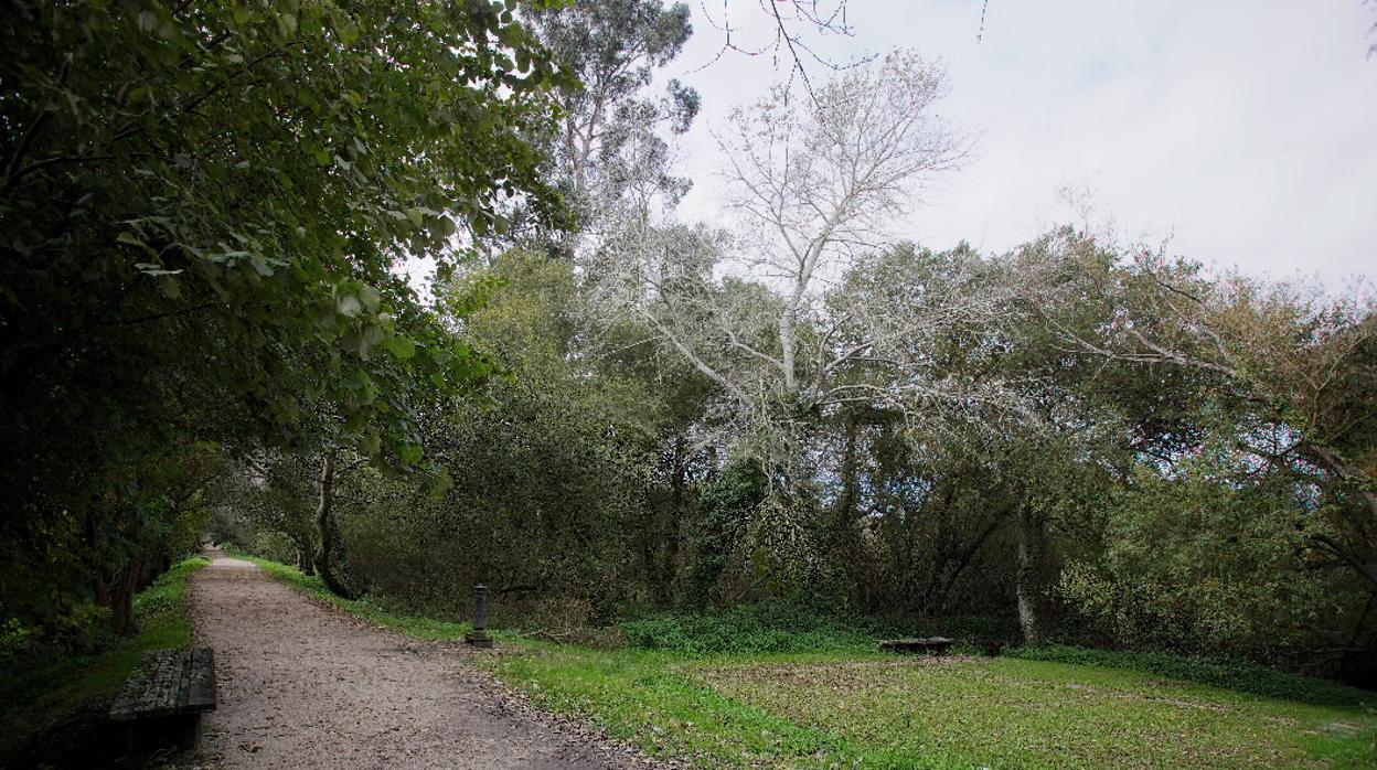 Senda peatonal del río Lagares