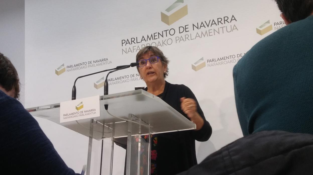 La portavoz de Izquierda Ezkerra, en el Parlamento navarro, Marisa de Simón