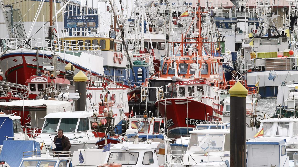 Barcos amarrados a puerto en Burela