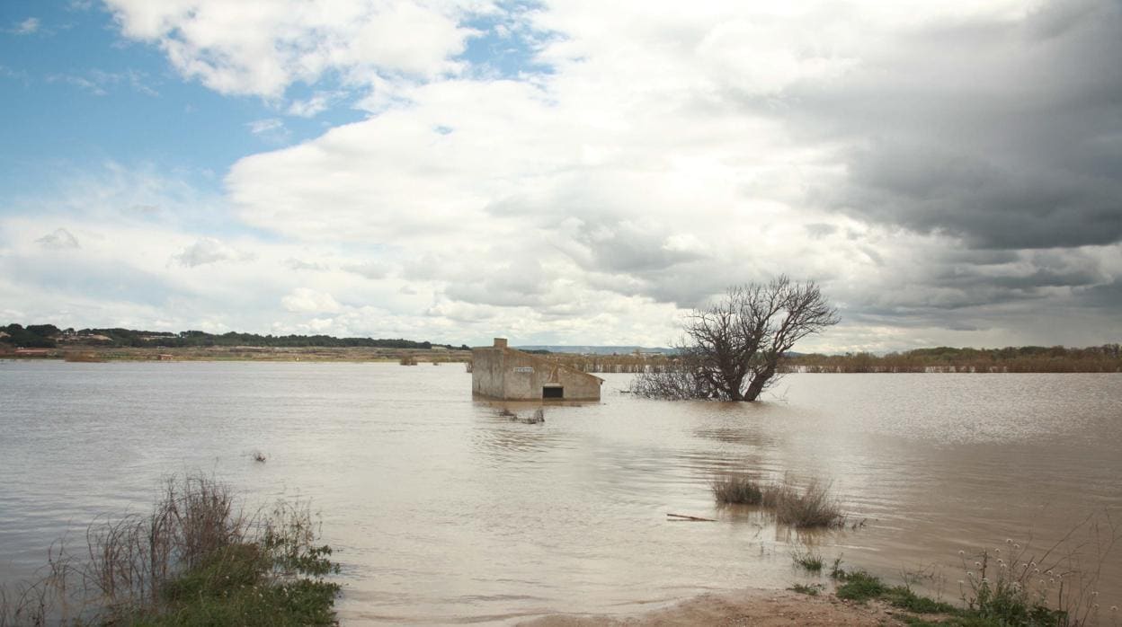 Campos ribereños inundados por la crecida del Ebro