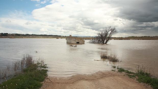 La riada del Ebro se agrava en Navarra y Aragón, con numerosos campos inundados