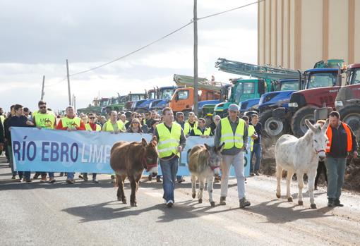 Los afectados denuncian que las inundaciones que provoca el Ebro, cada vez más frecuentes, están condenando a la agricultura y a la ganadería de los pueblos ribereños