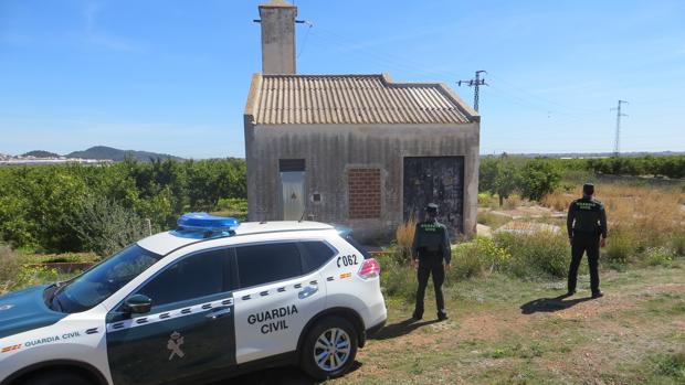 Detenidas 58 personas por robar más de 89.000 kilos de garrofas en la Hoya de Buñol