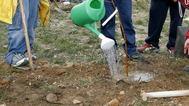 Promueven la replantación del centro Virgen de Llano de Aguilar de Campoo