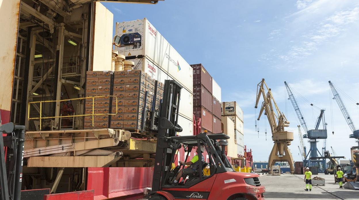 Restringen la llegada a Canarias de palets de madera