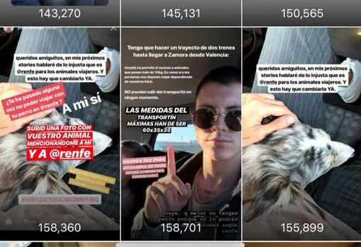Clasificación ciclo Noche Renfe, quiero viajar con mi perro»: miles de personas se suman a una  campaña viral en Instagram