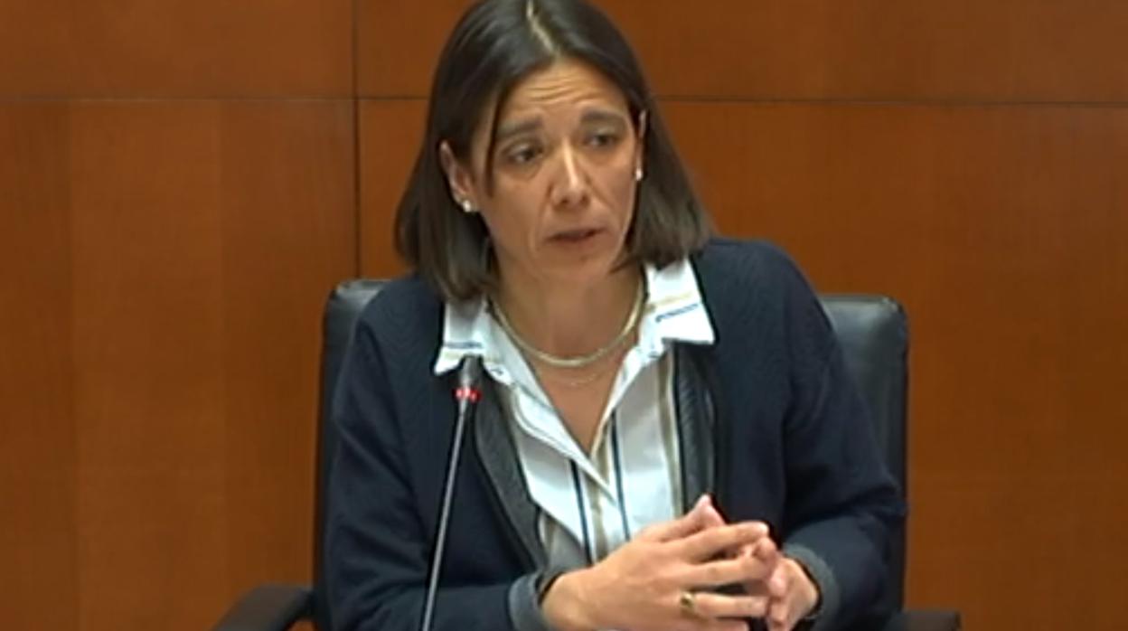 La interventora del Gobierno aragonés, Ana Gómez, durante su comparecencia en las Cortes regionales