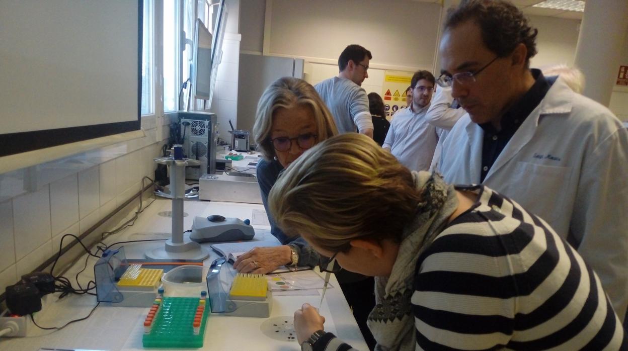 Pruebas del test en la UPV