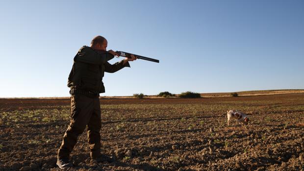 Incertidumbre ante la temporada del corzo en Castilla y León por la prohibición de la caza