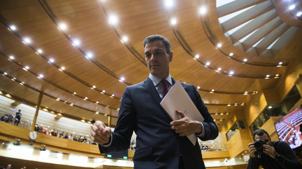 Pedro Sánchez en el Senado