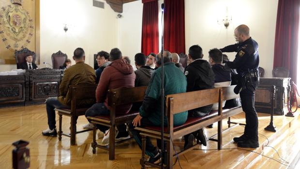 Juzgados catorce hombres por cultivar plantaciones de marihuana en la comarca de Talavera