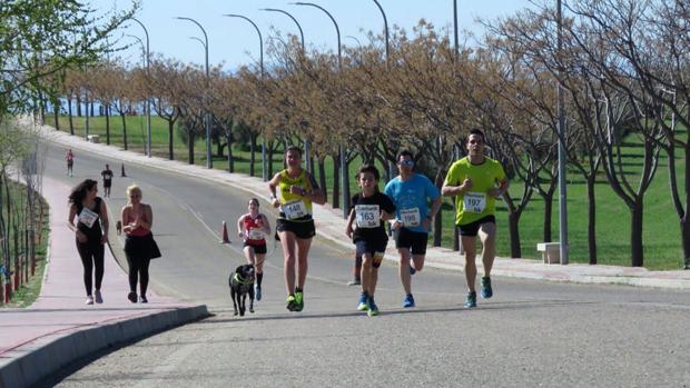 Olías del Rey acoge este domingo la IV Carrera de la Mujer ADFAT Solidaria