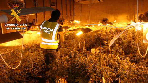 La Guardia Civil desmantela un punto de venta de marihuana en Los Cerralbos