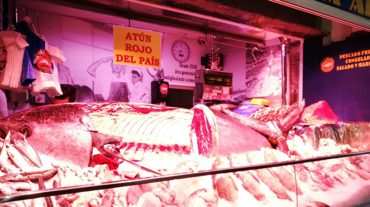 Atún rojo de 300 kilos en el Mercado de Vegueta