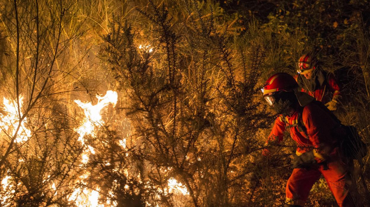 Brigadistas luchan contra el fuego durante la noche