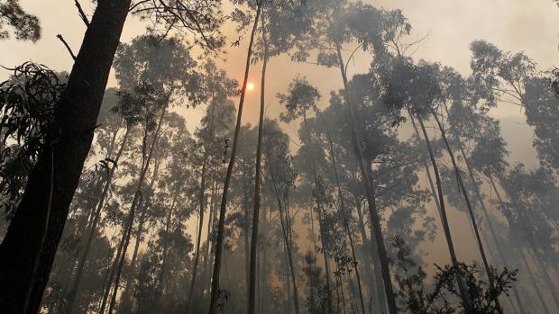 El gran incendio de Rianxo, en vías de controlarse tras quemar 850 hectáreas