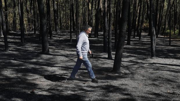 La ola de fuegos arrasa más de 1.300 hectáreas de monte en solo tres días