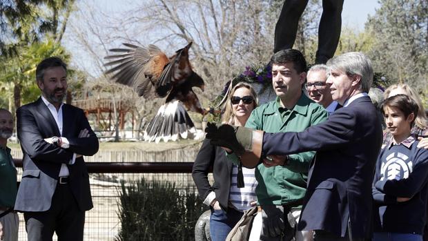 Homenaje a Félix Rodríguez de la Fuente, el gran comunicador del medio ambiente