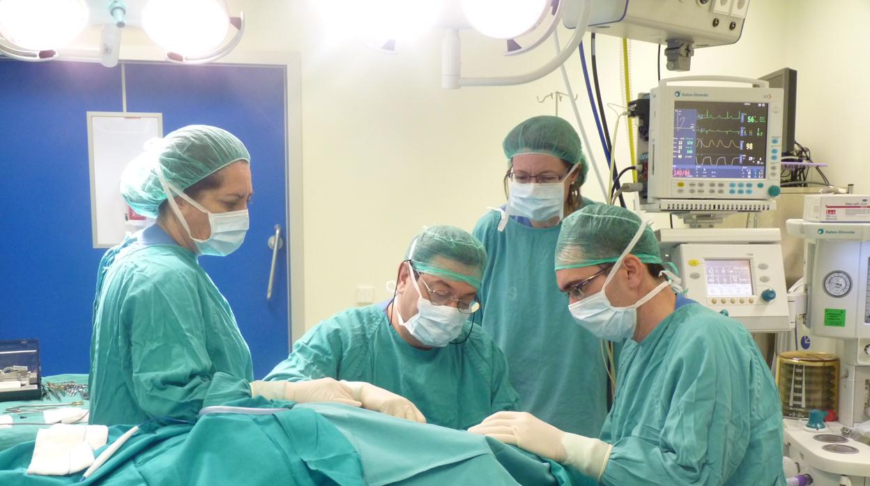En la Sanidad pública aragonesa, más de 300 médicos cumplirán los 65 entre este año y el próximo