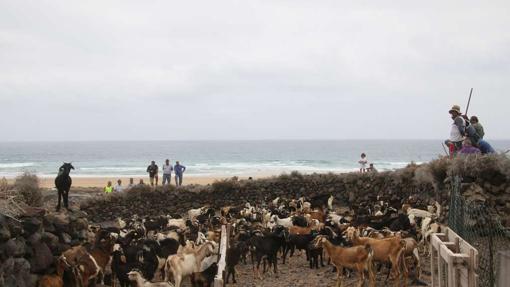 5 cosas que hacer en Canarias cuando no eres turista