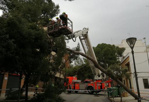 Imagen de una intervención de los bomberos en Godella