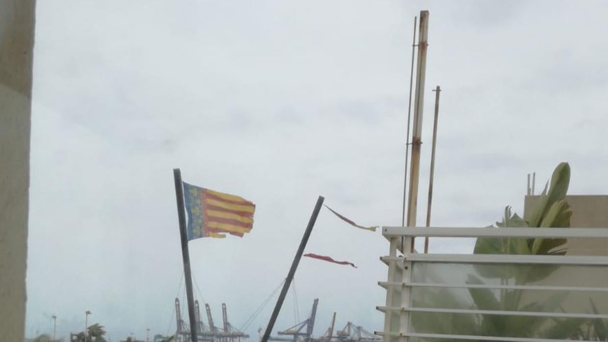 Imagen de la Marina de Valencia tomada este domingo