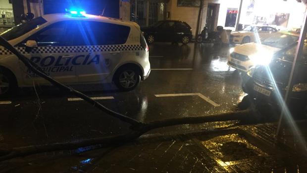 El viento y la lluvia dejan en Madrid más de 250 incidencias por inundaciones y caída de árboles