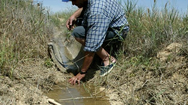 El Valle del Ebro afronta la campaña de riegos con menos agua que hace un año