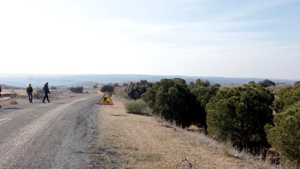 El Tribunal Superior de Justicia de Castilla-La Mancha rechaza la petición de los ecologistas para paralizar las obras de Puy du Fou