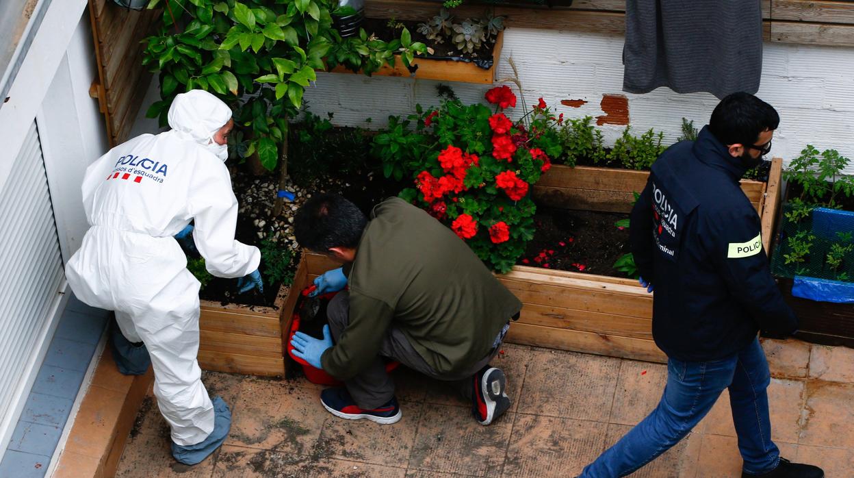 Los investigadores rastrearon ayer martes las viviendas de los arrestados en Cornellà de Llobregat