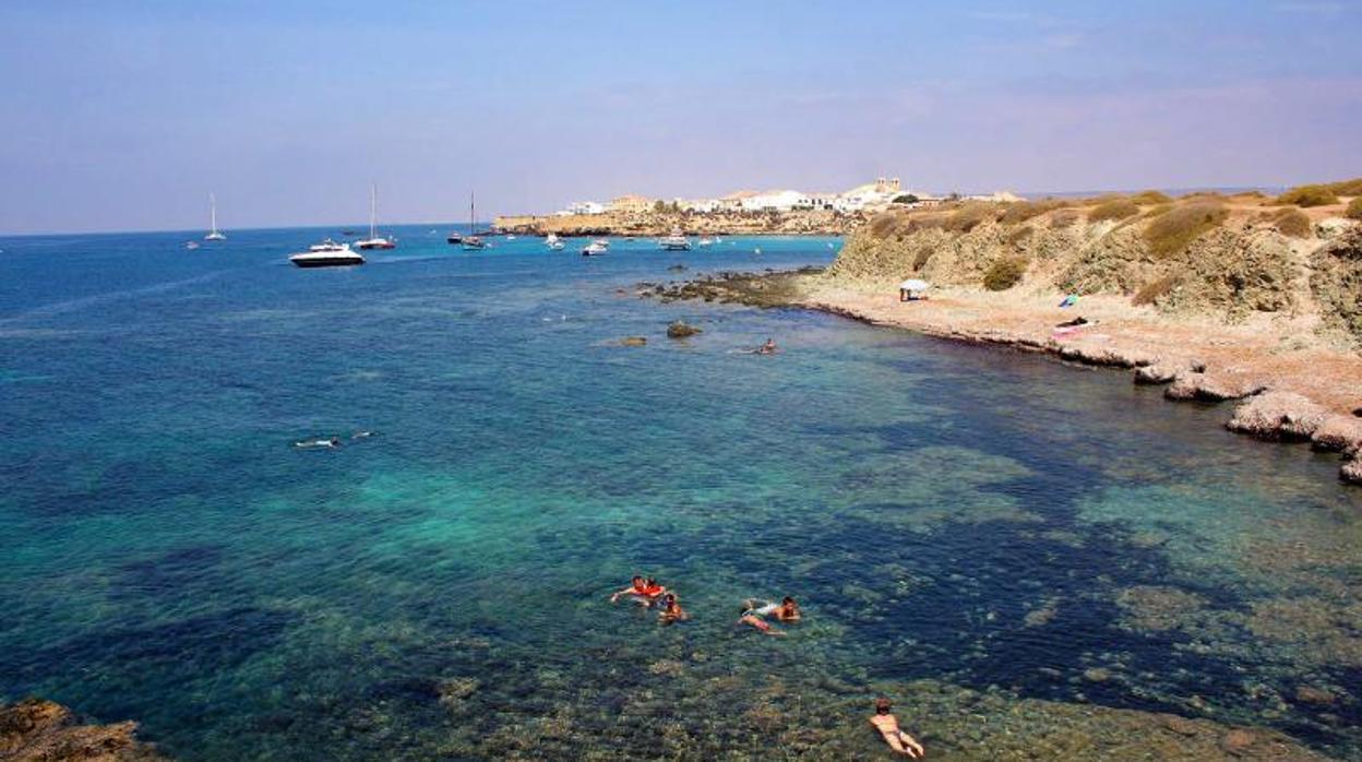 Tabarca tiene varias calas de aguas cristalinas, como reserva marina que es, además de su playa