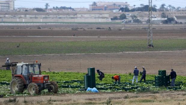 Condenas de hasta siete años de prisión para cuatro búlgaros por explotar a compatriotas en el campo