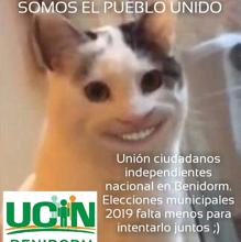 El gato con sonrisa humana