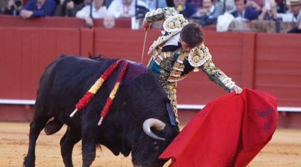 Morante, El Juli, Manzanares y Lorenzo torearán en la corrida del Corpus de Toledo